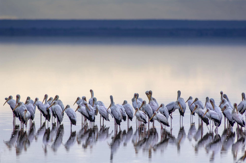 Lake-Manyara-Tanzania-Safari-Destination-1