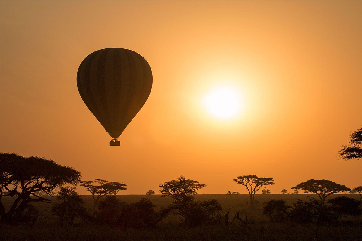 Tanzania-baloon-Safari--2
