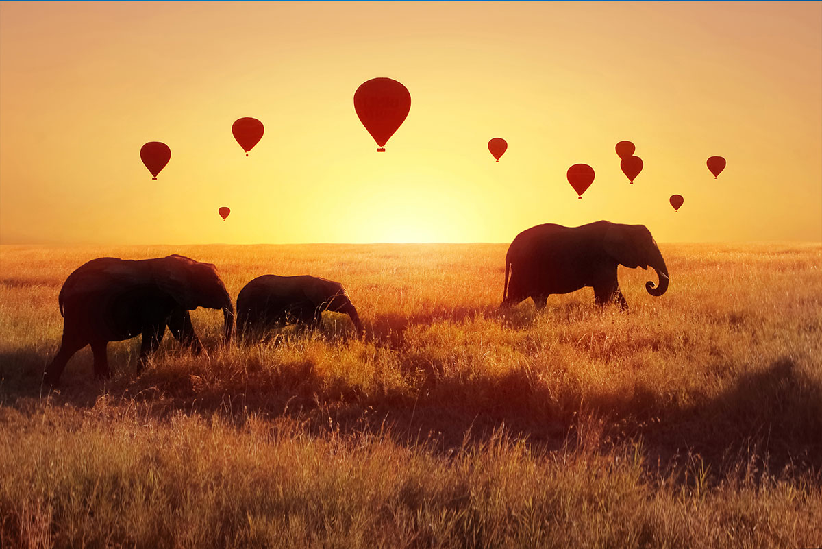 Tanzania-baloon-Safari---3